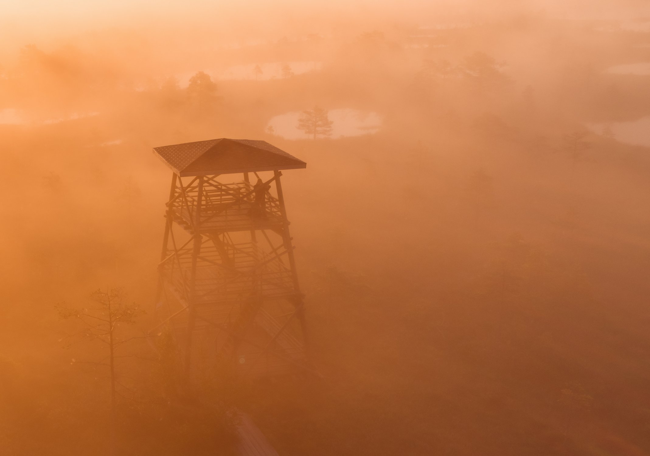 Фотограф встречает золотой рассвет на болотах
