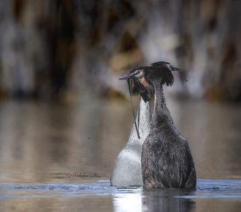 Открытие сезона