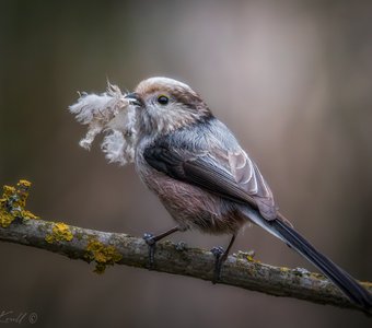 Для уюта и тепла