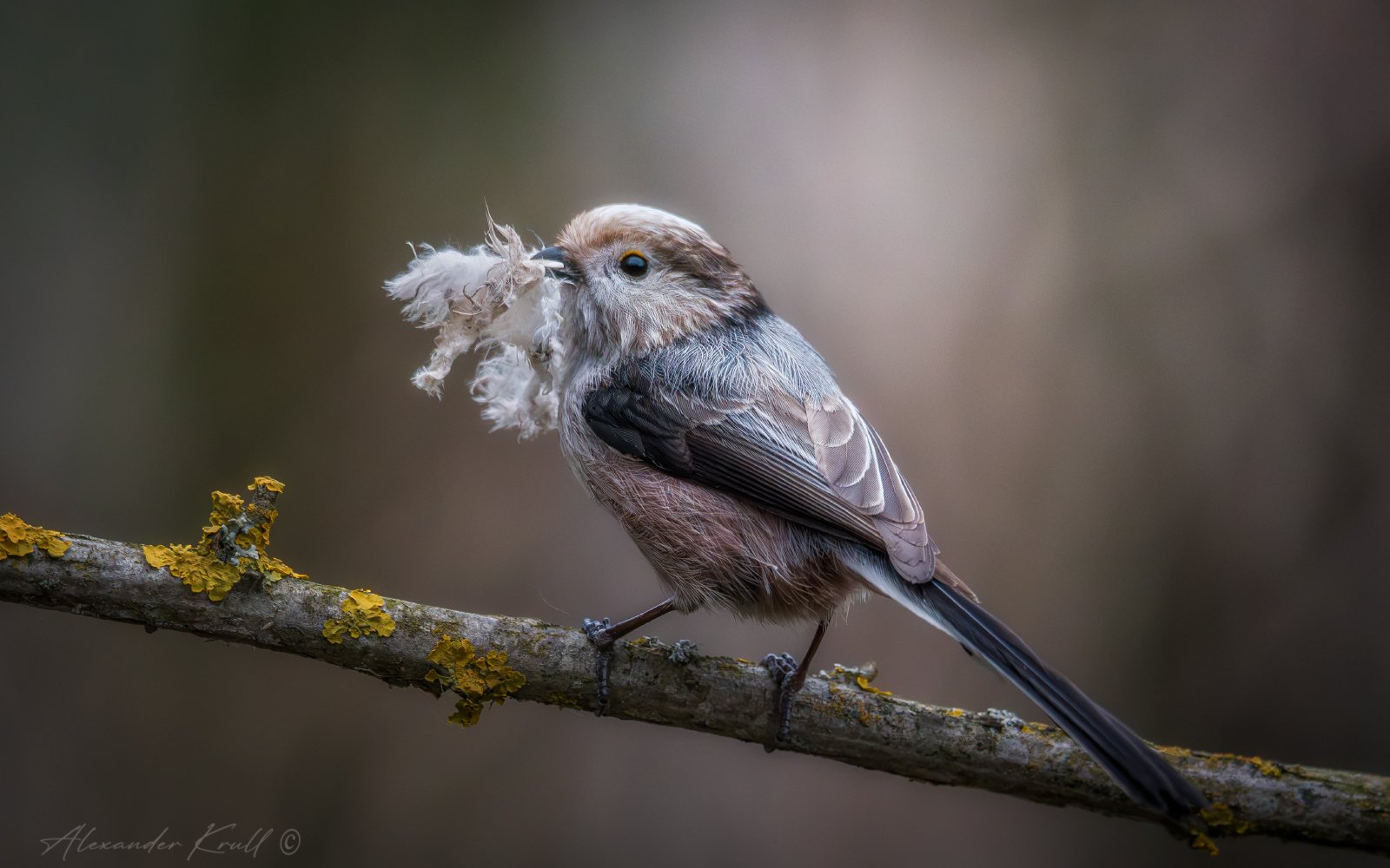 Для уюта и тепла