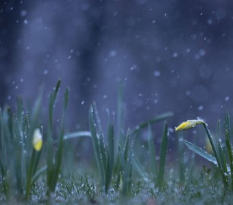 Похолодало