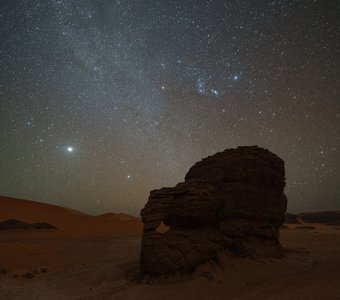 Страж пустыни