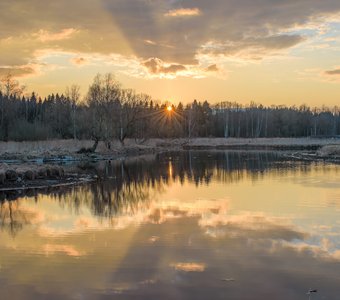 Лес пленил Солнце