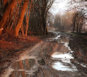Весенние лужи