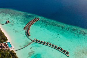 Испанский турист лишился ноги из-за акулы на Мальдивах