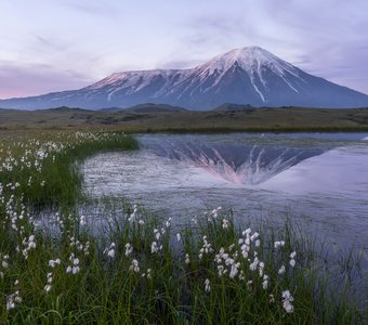Сиреневый рассвет