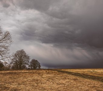 За секунду до дождя