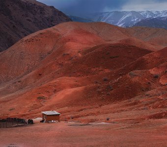 Марсианские хроники