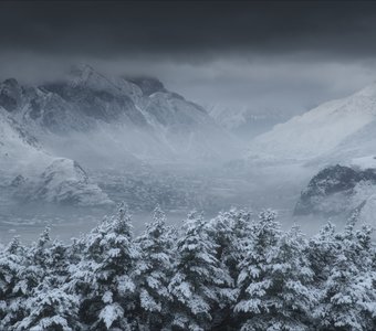 Белое безмолвие