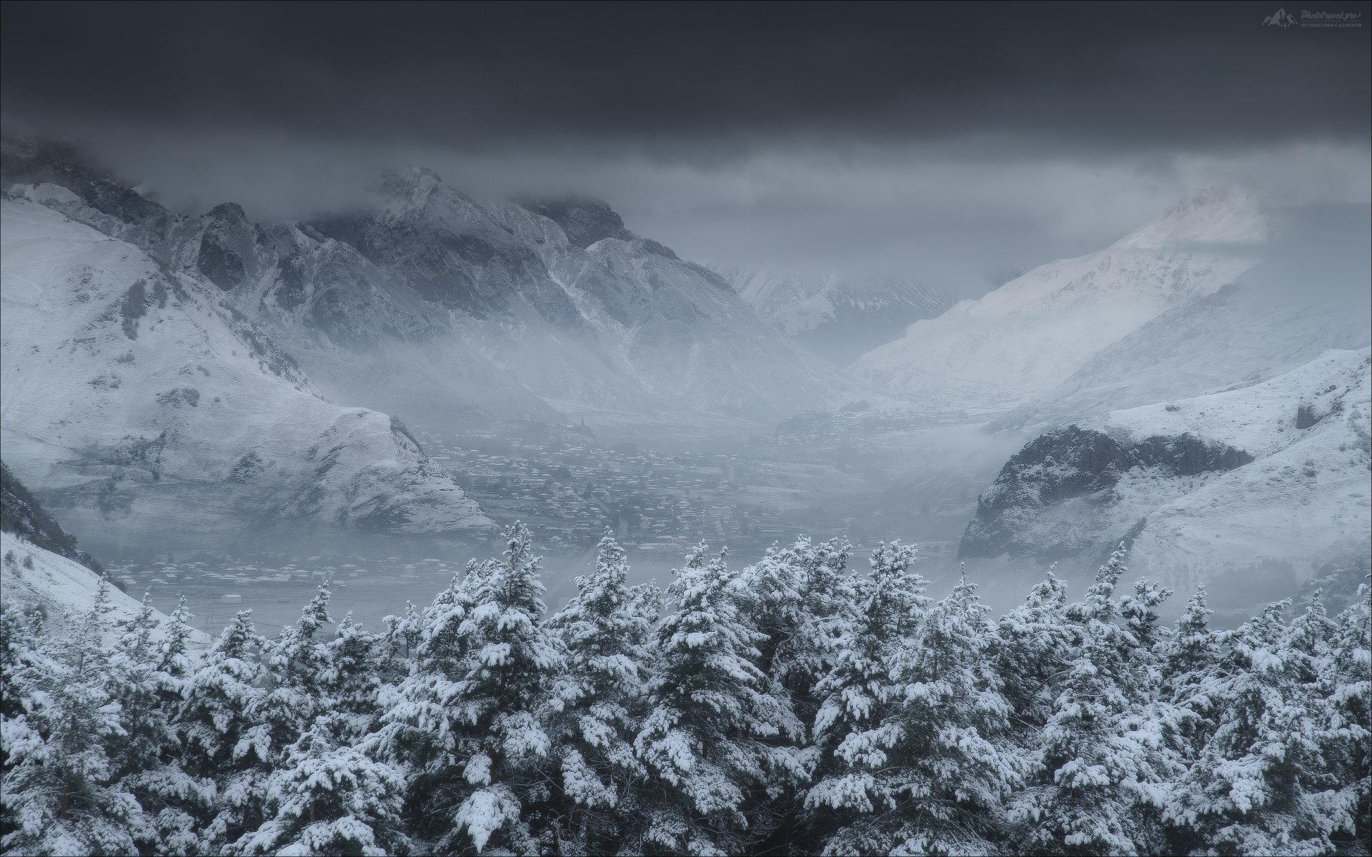 Белое безмолвие