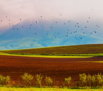 Музыка весны
