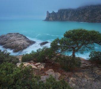 Когда Новый Свет есть, а света нет