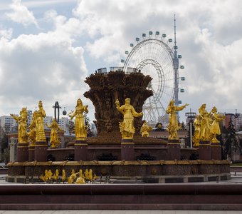 "Моя Москва"