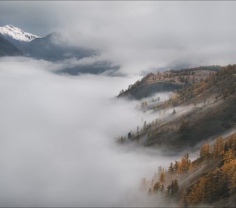 Параллельные миры