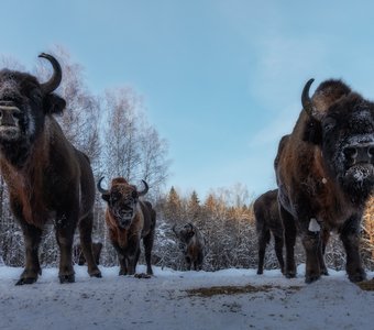 В боевом построении