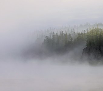 Предрассветный туман