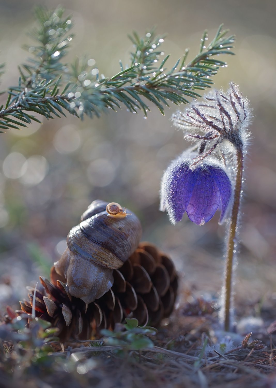 Все рады весне!
