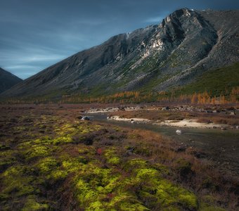 Мшистый берег вдоль речки студёной
