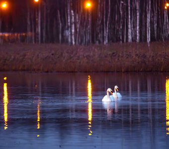 Вечер при свечах!