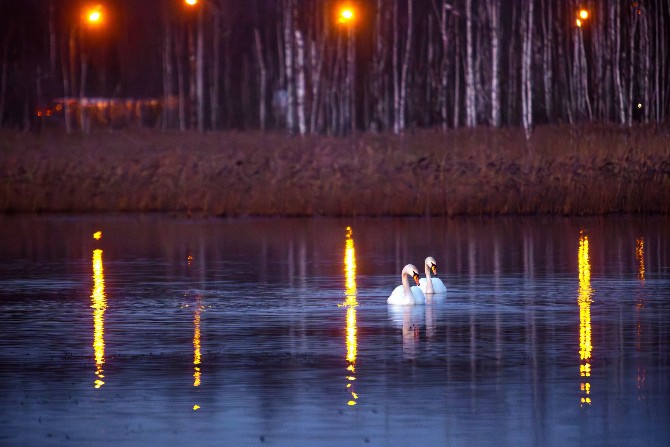 Вечер при свечах!