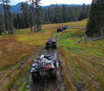 В царстве верховых болот Республика Алтай