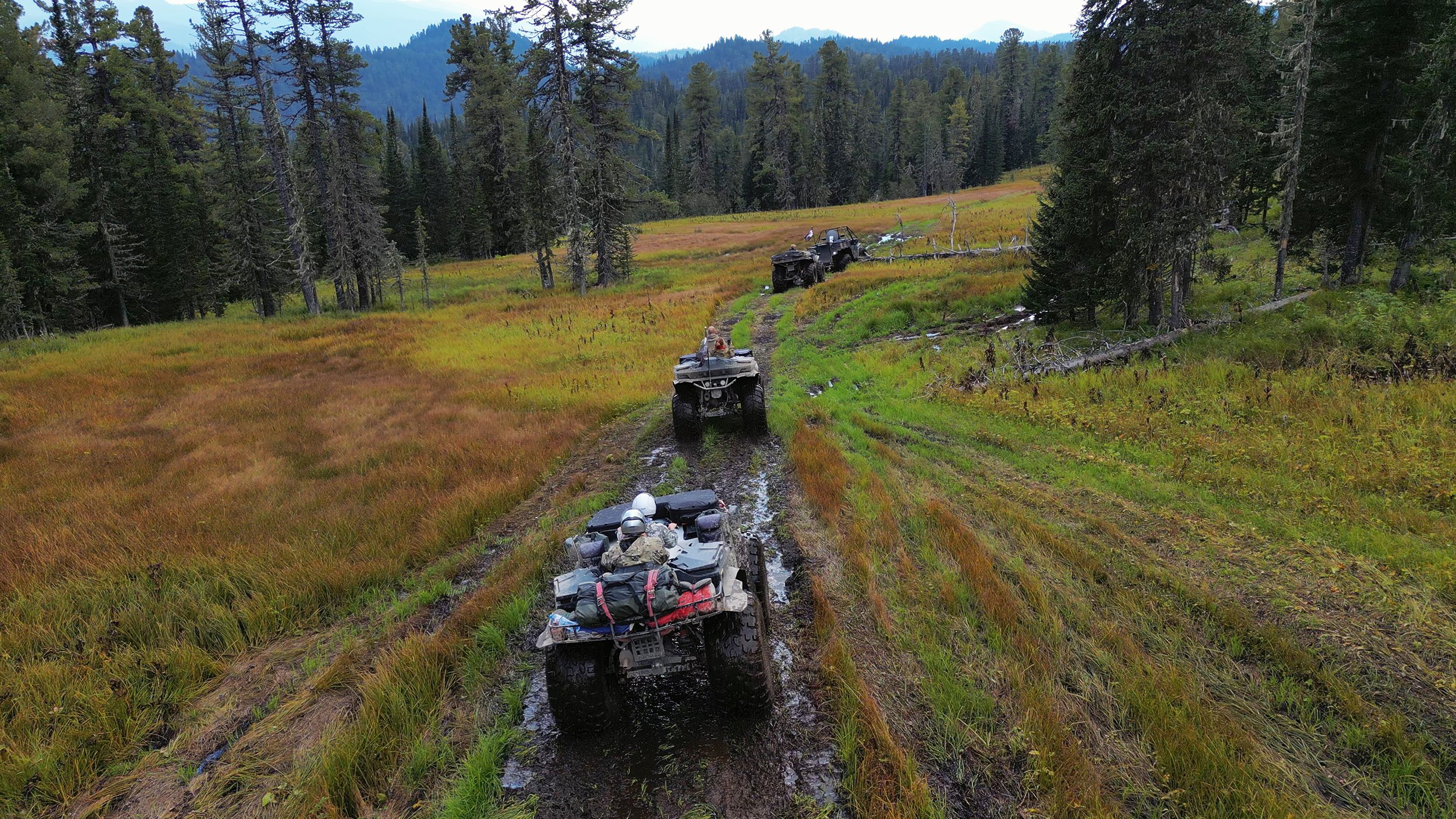 В царстве верховых болот Республика Алтай