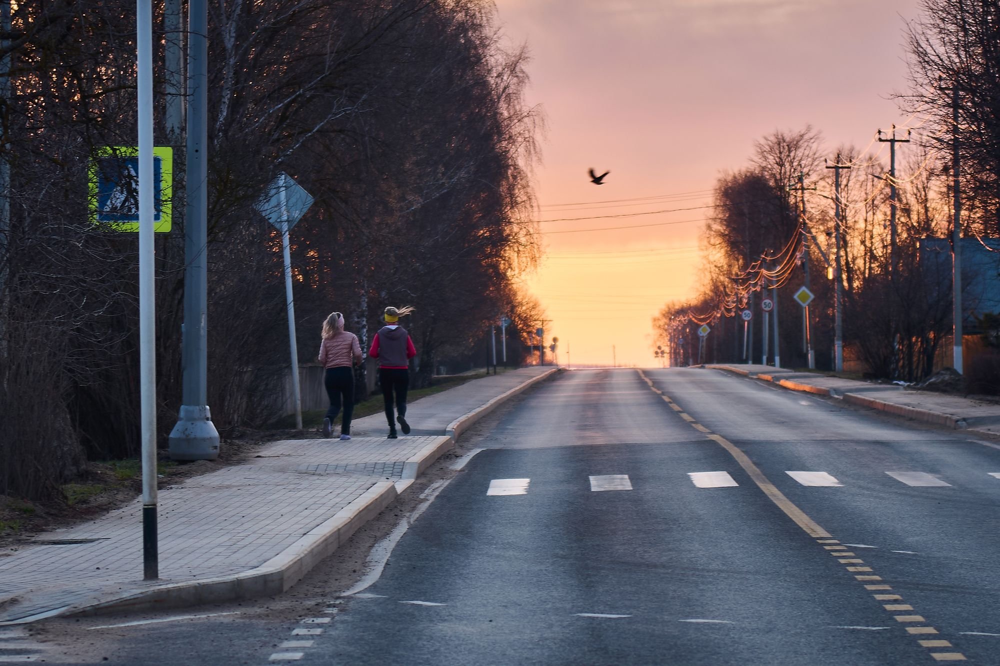 Утренний полёт