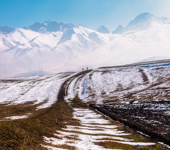 Дыхание весны