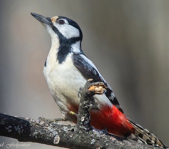 В работе над образом