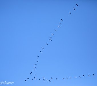 С возвращением!