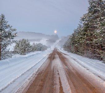 В дороге. Туманное апрельское утро.