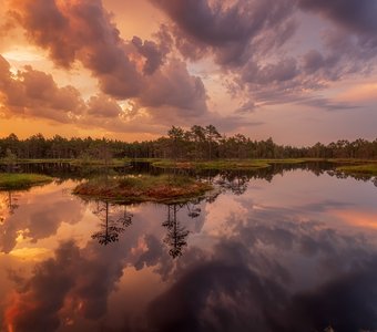 Отражение рассвета