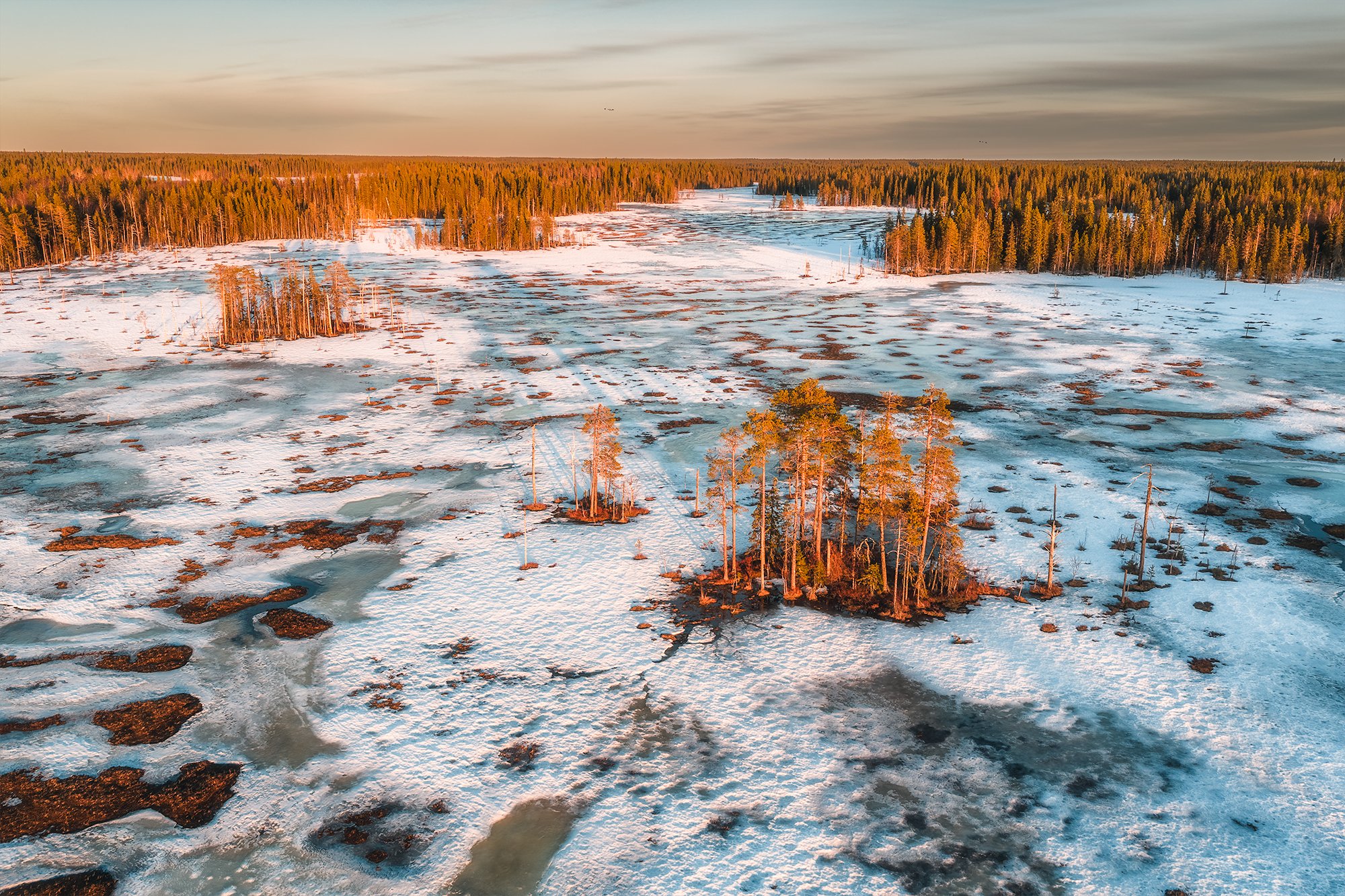 Свет уходящей зимы