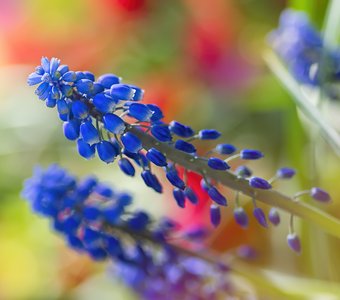 Краски весны