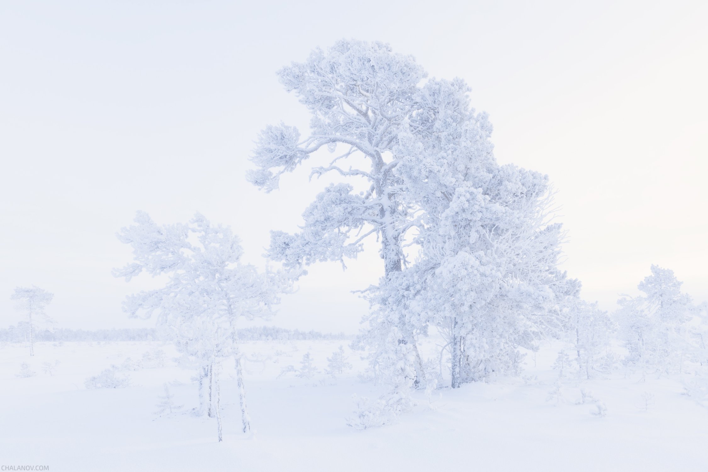 Прощание с зимой