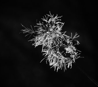 Бенгальский огонь