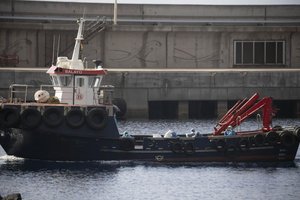 Пассажиры «зараженного круиза» эвакуированы: что дальше