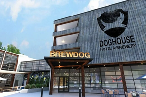 Гостиница внутри пивоварни: почему DogHouse Hotel от BrewDog стал туристическим хитом