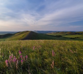Вечер в степи