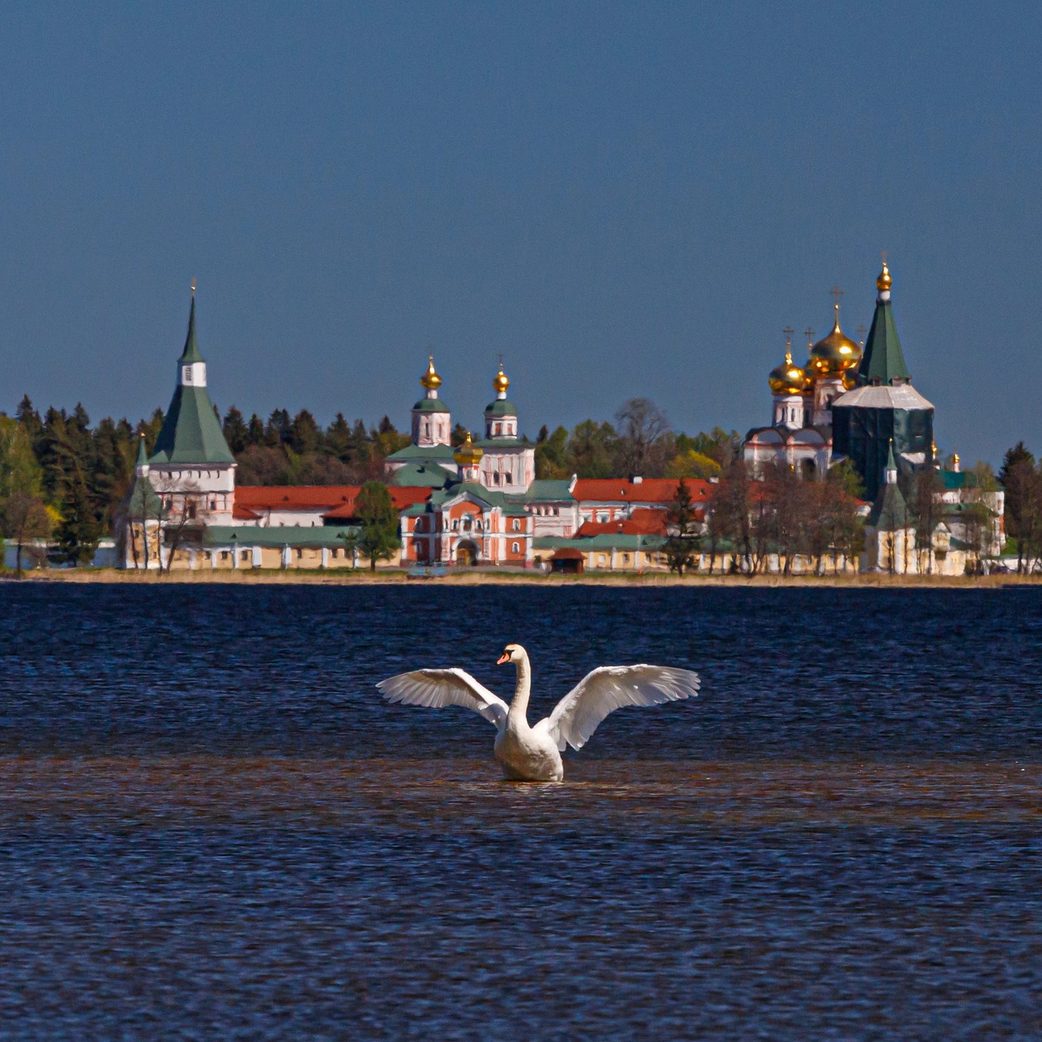 Разминка перед полётом