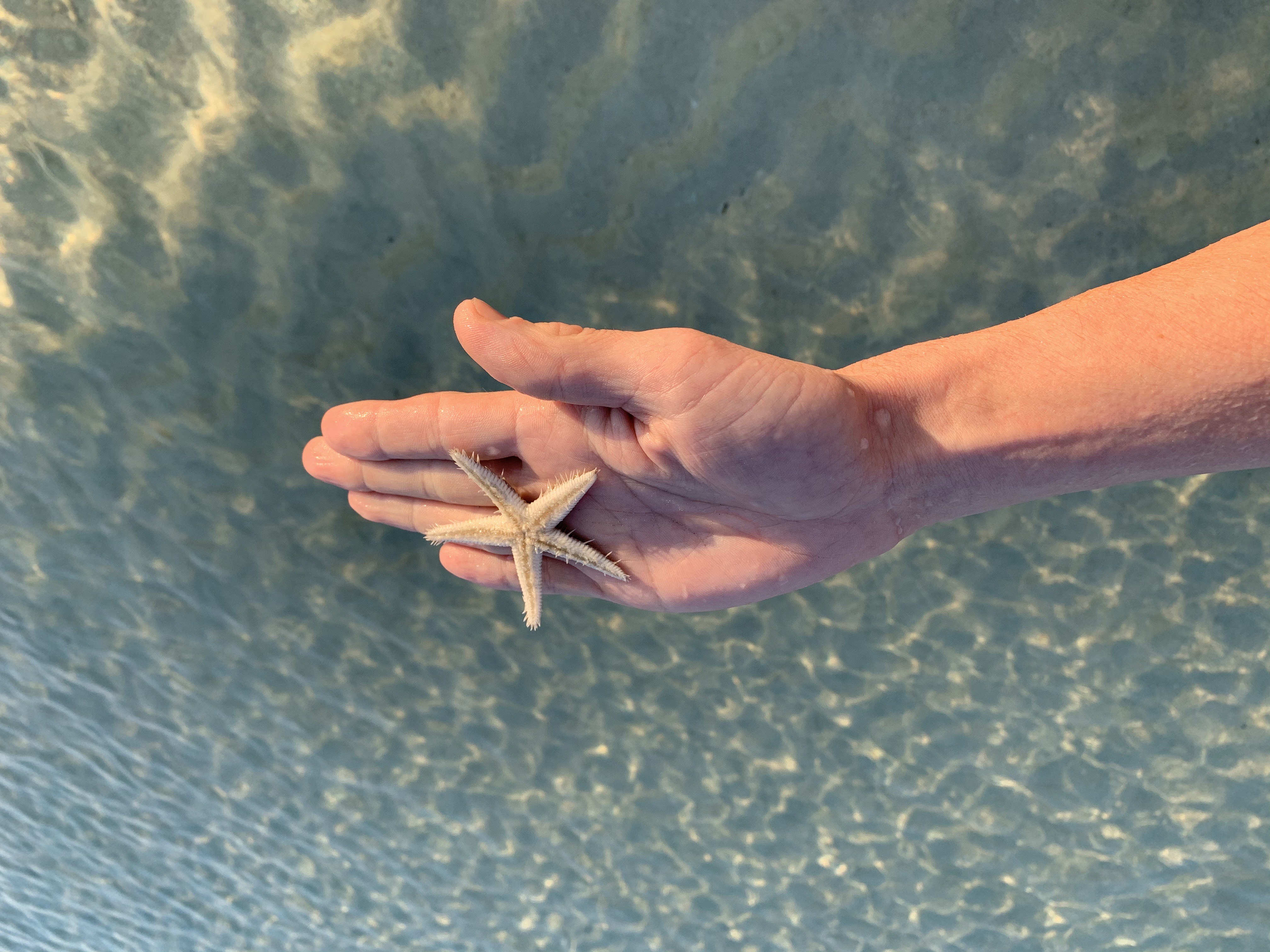 Россияне назвали самые привлекательные страны для жизни зимой