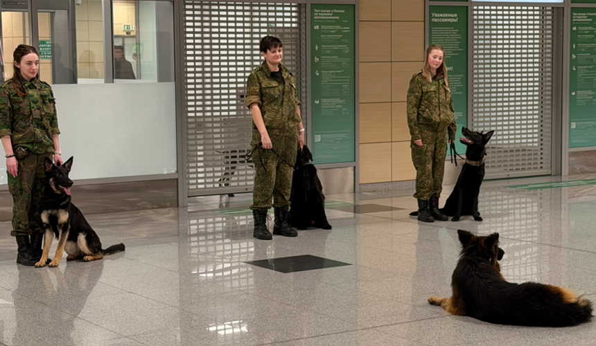 В Домодедово проводили на пенсию овчарку-таможенника Зевса