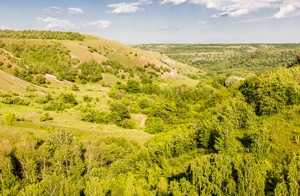 Экологическая тропа «Волжская Швейцария»