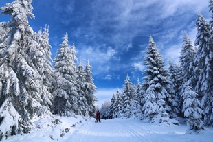 Горнолыжный курорт