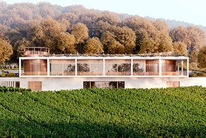 AYA Urban Winery