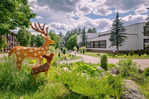 «Яхонты Таруса»