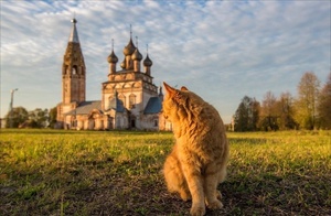 Парское подворье