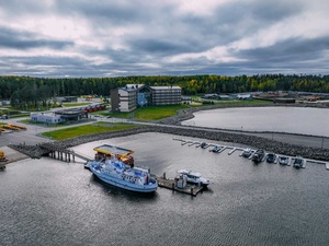 «Владимировский»