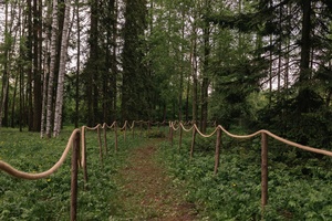 Дендропарк ЛОСС