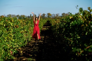 Эногастрономический маршрут «Долина Дона»
